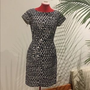 J Crew FABULOUS work dress NWOT
